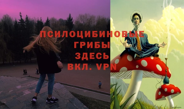 таблы Алексеевка