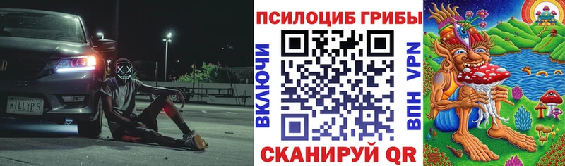 OMG как зайти  Буй  Галлюциногенные грибы Psilocybine cubensis  хочу наркоту 